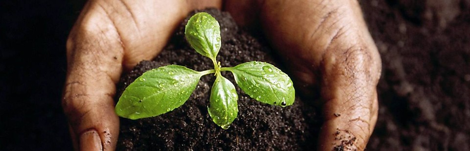 Интернет-магазин "Всё для сада и огорода"